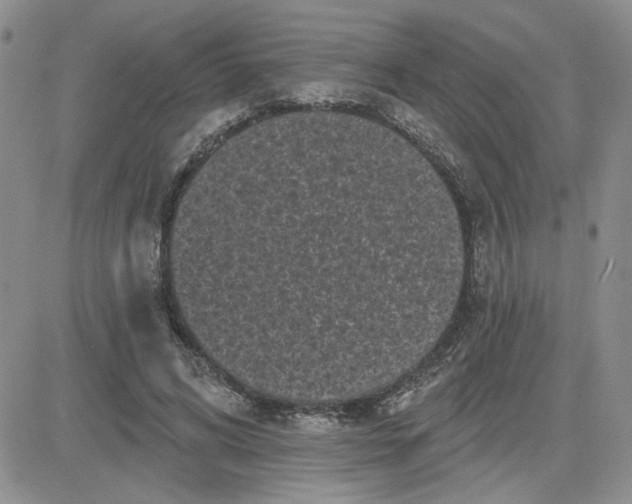 X0000081460592200701261940