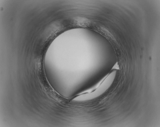 X0000081460595200701261940