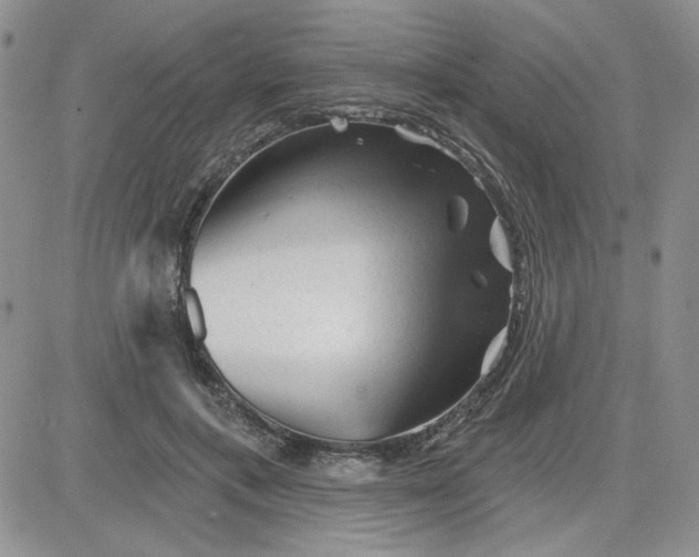 X0000081460597200701261940