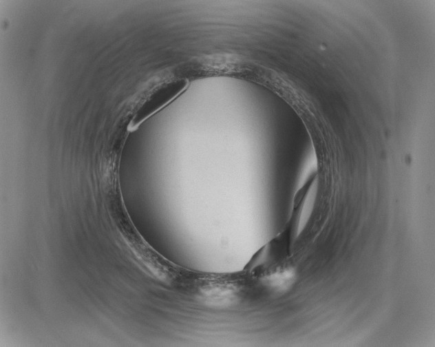 X0000081460601200701261940