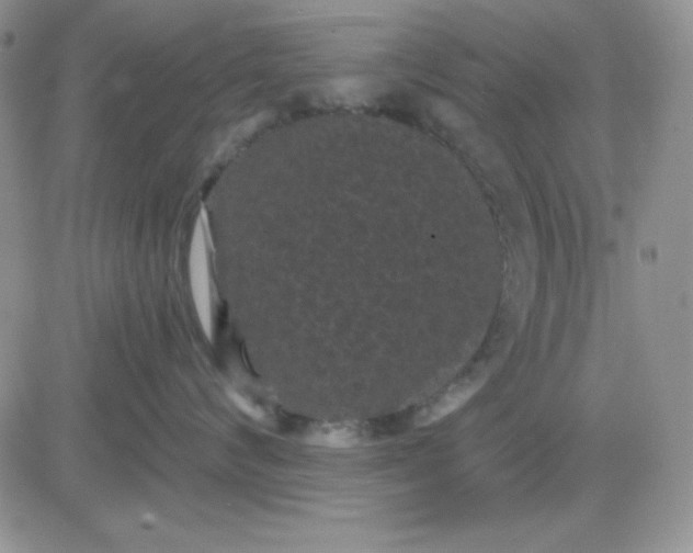 X0000081460624200701261939
