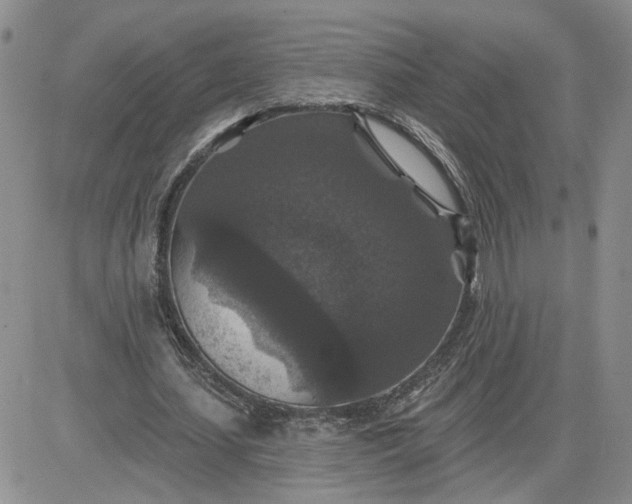X0000081460627200701261938