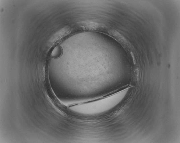 X0000081460638200701261939