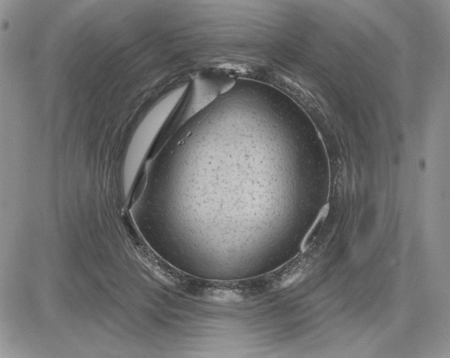 X0000081460649200701261939