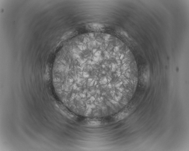 X0000081460658200701261939