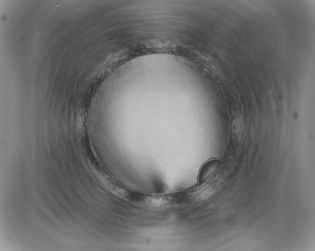 X0000081460662200701261939