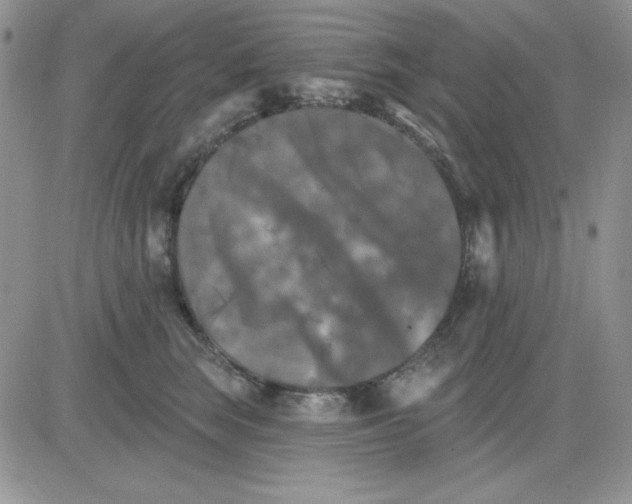 X0000081460663200701261939