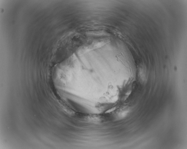 X0000081460668200701261939