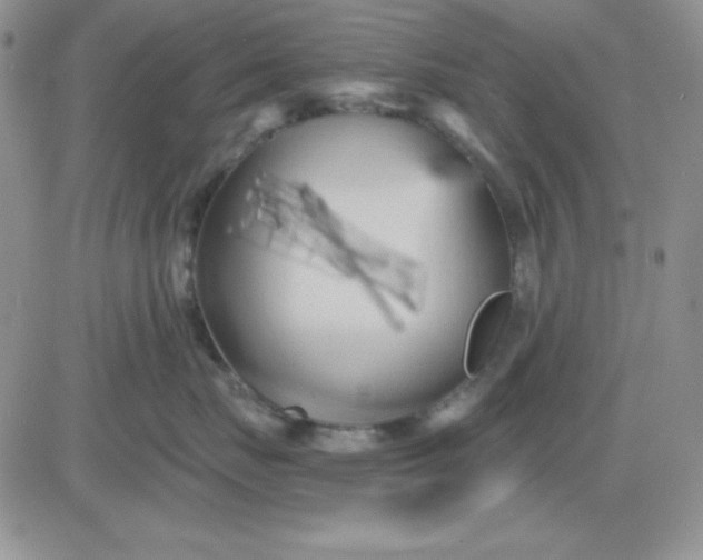 X0000081460671200701261939