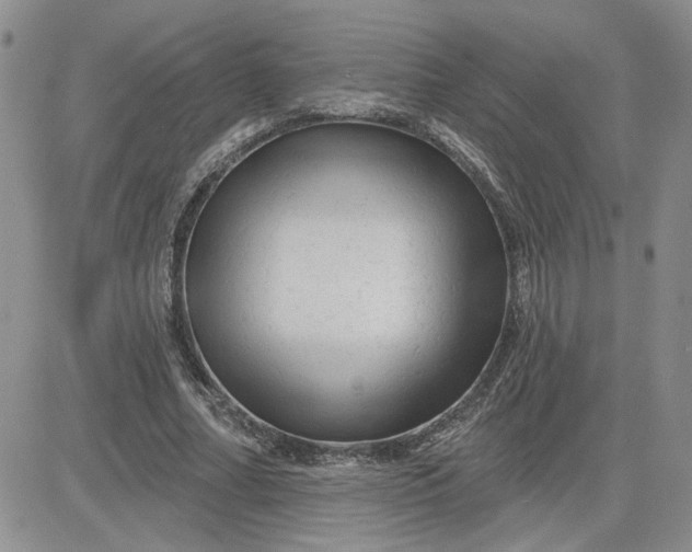 X0000081460682200701261938