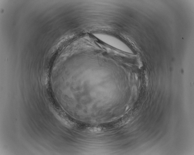 X0000081460687200701261938