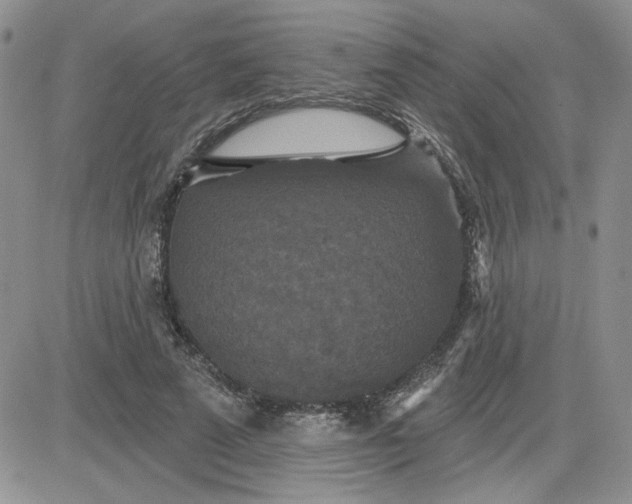 X0000081460689200701261938