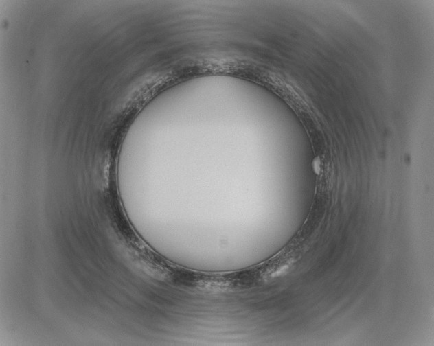 X0000081460694200701261938