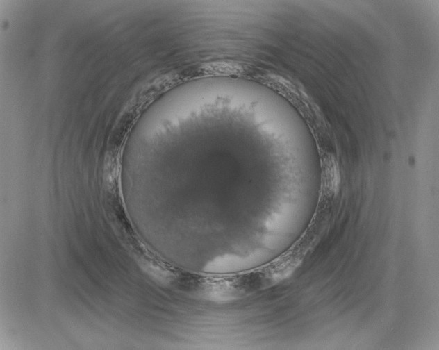 X0000081460701200701261938