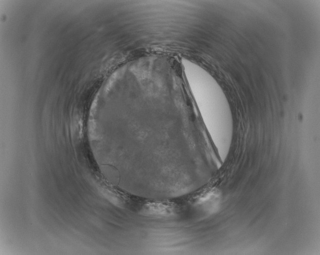 X0000081460703200701261938