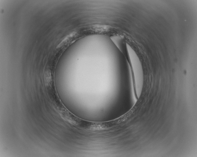 X0000081460704200701261938