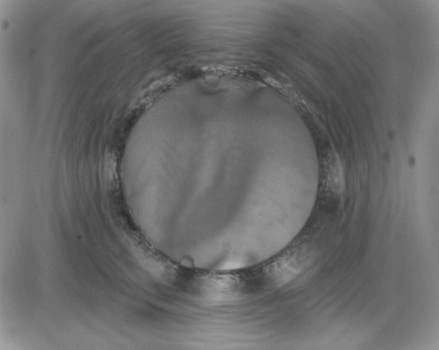 X0000081460711200701261938