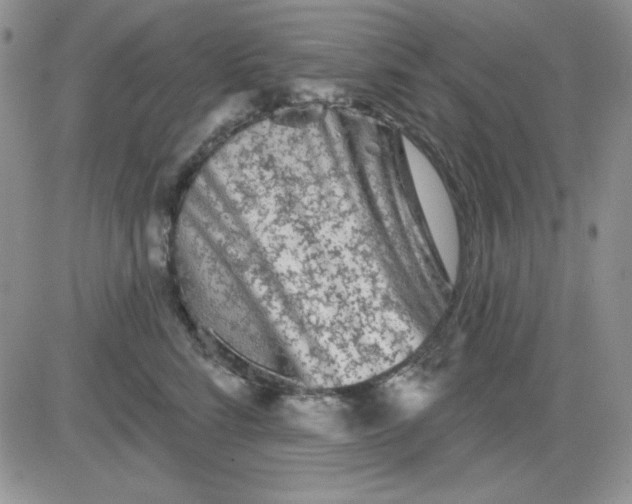 X0000081460712200701261938
