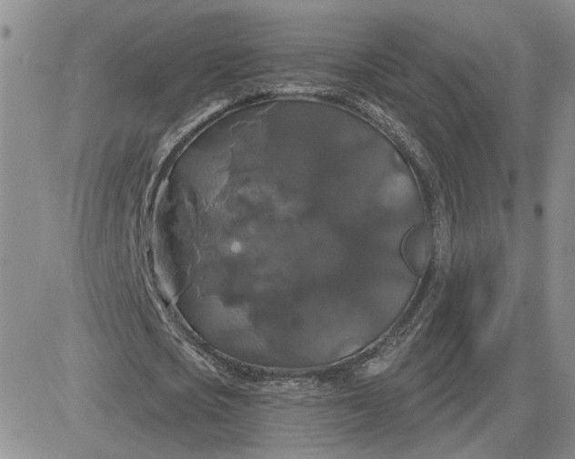 X0000081460721200701261937