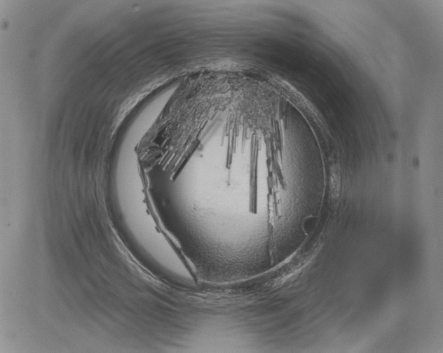 X0000081460725200701261937
