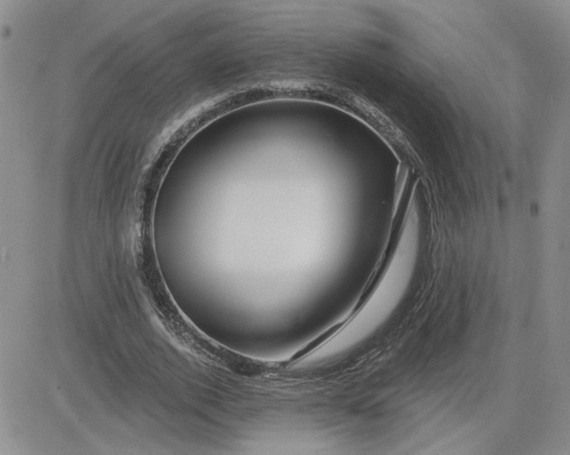 X0000081460728200701261937
