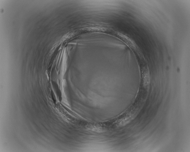 X0000081460729200701261937