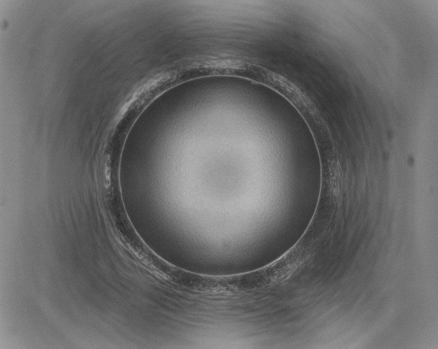 X0000081460731200701261937