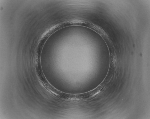 X0000081460732200701261937