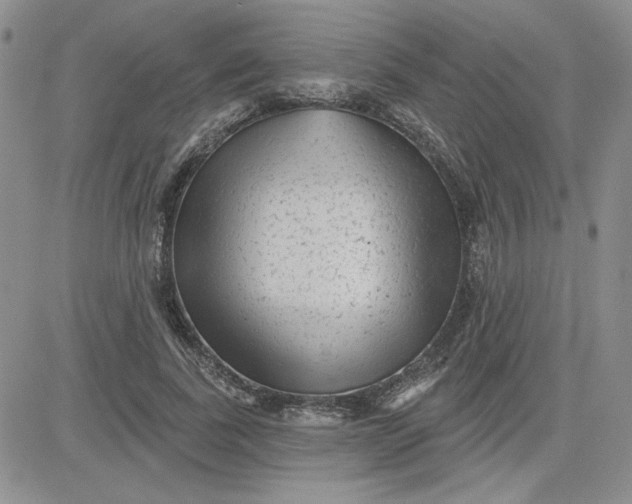 X0000081460739200701261937