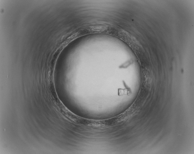 X0000081460745200701261937
