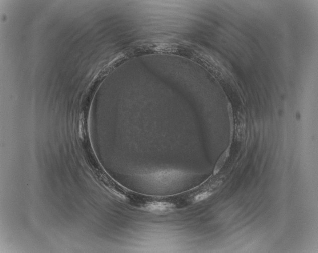 X0000081460748200701261937
