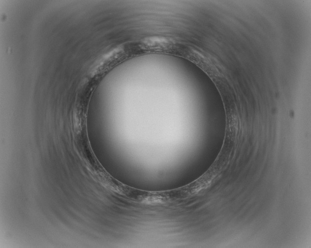 X0000081460751200701261937