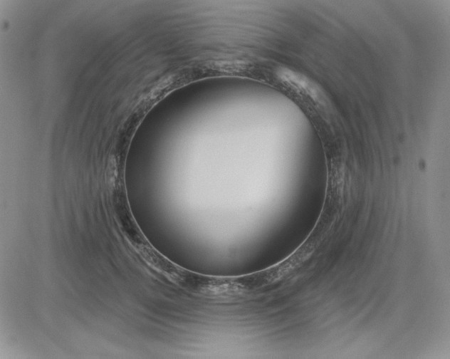 X0000081460752200701261937