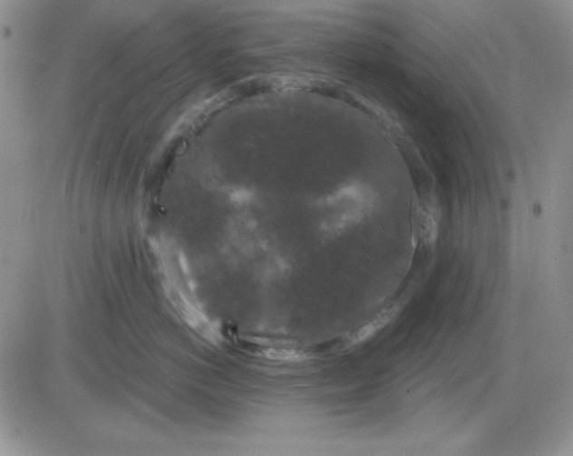 X0000081460766200701261938