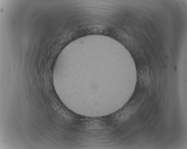 X0000081460769200701261937