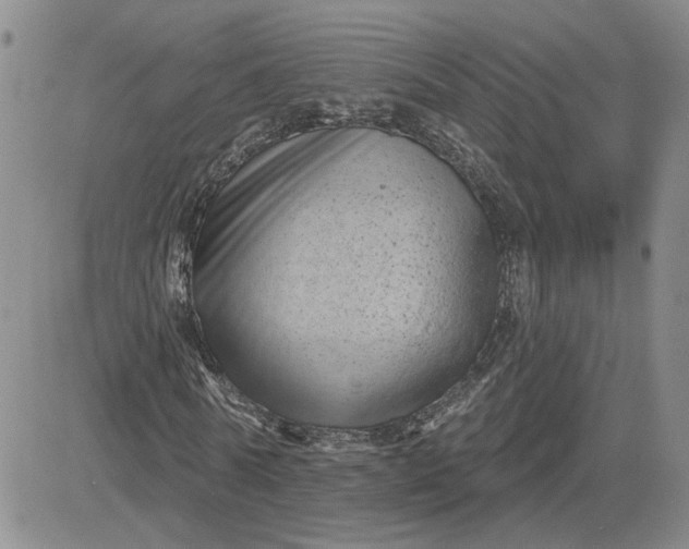 X0000081460770200701261937