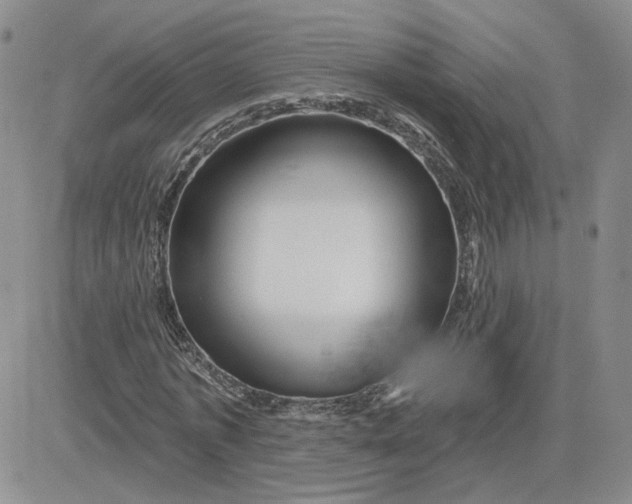 X0000081460773200701261937