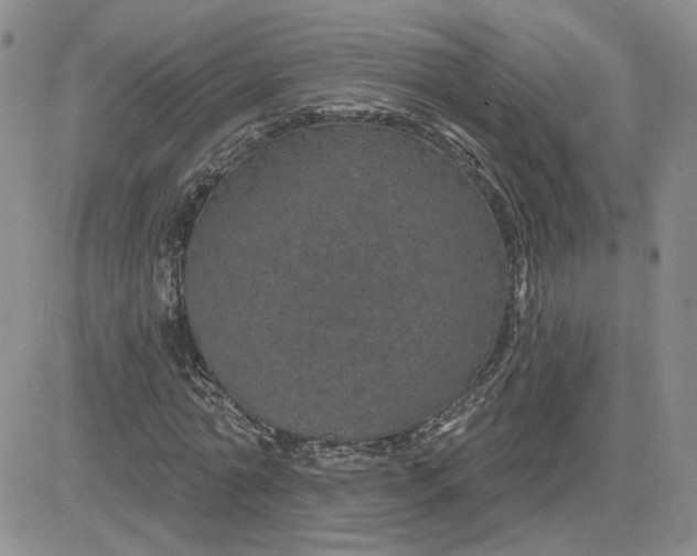 X0000081460774200701261937