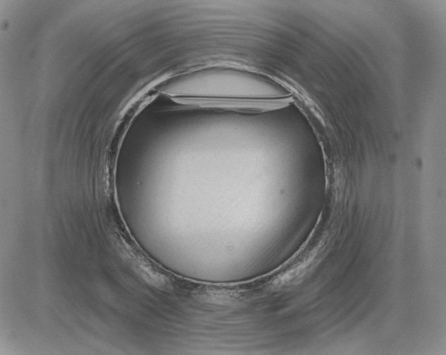 X0000081460782200701261937