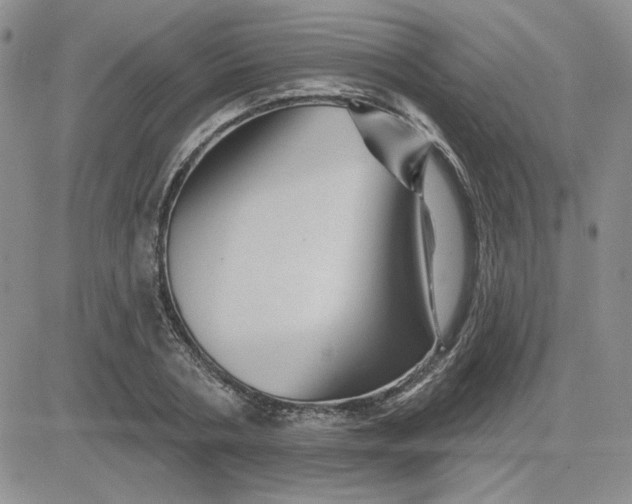 X0000081460786200701261937