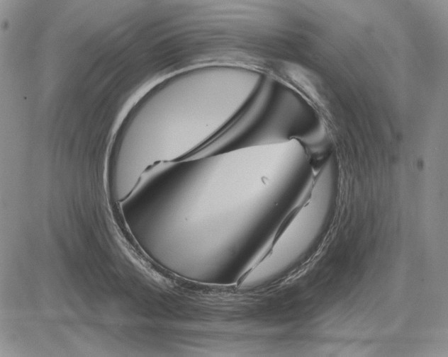 X0000081460788200701261937
