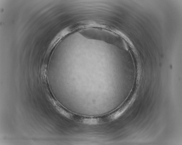 X0000081460793200701261936