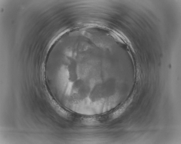 X0000081460798200701261936