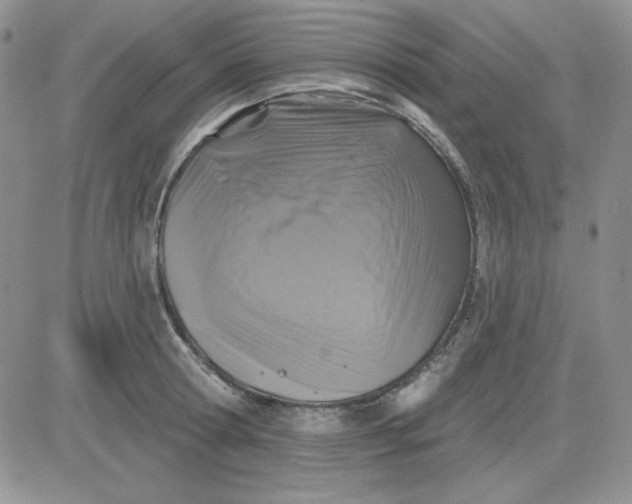 X0000081460802200701261936