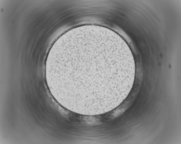 X0000081460807200701261936