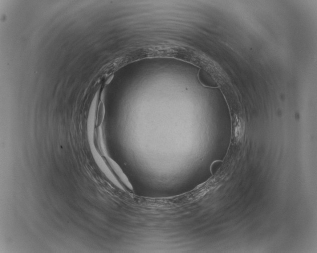 X0000081460819200701261935