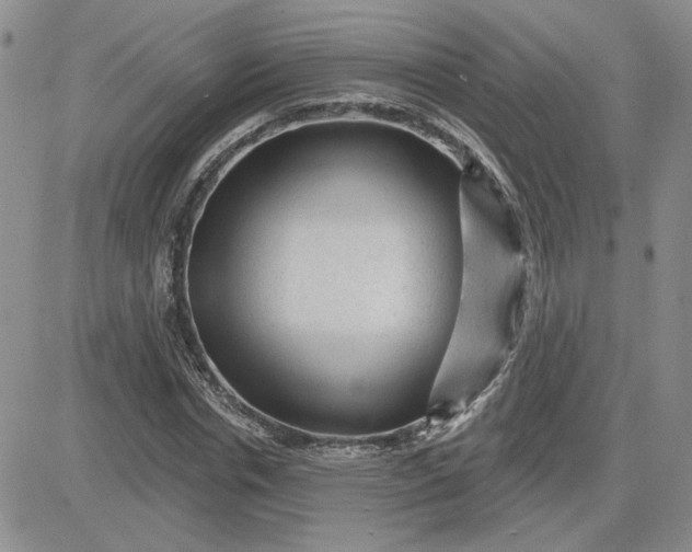 X0000081460826200701261935