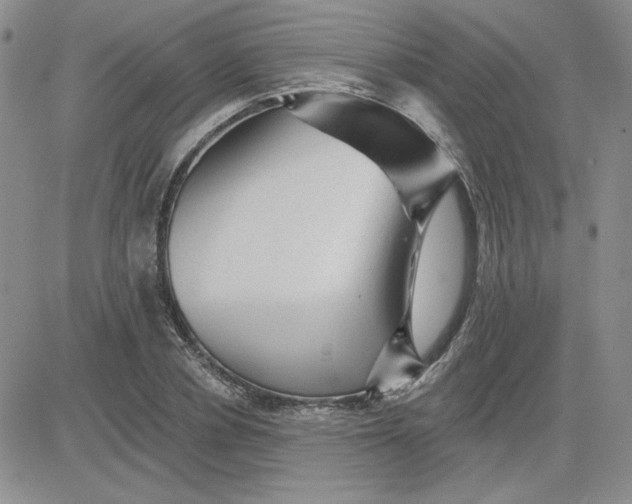 X0000081460834200701261936