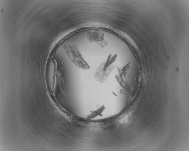 X0000081460839200701261936