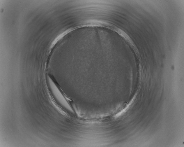 X0000081460842200701261936